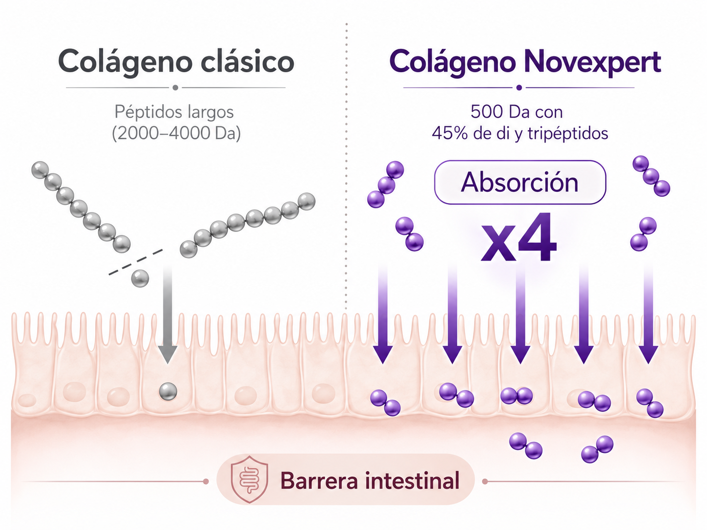 Suplemento Alimenticio Colageno+